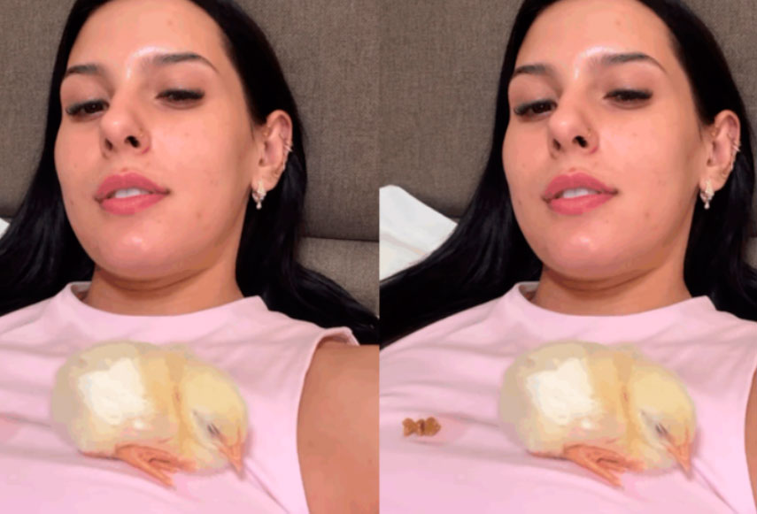 Ana Castela ganha pintinhos de fãs e se diverte com presente